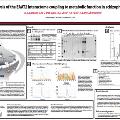 amanda-sfn-2015-poster
